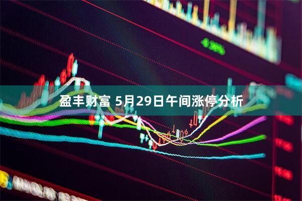 盈丰财富 5月29日午间涨停分析