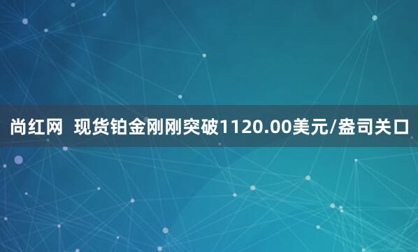 尚红网  现货铂金刚刚突破1120.00美元/盎司关口