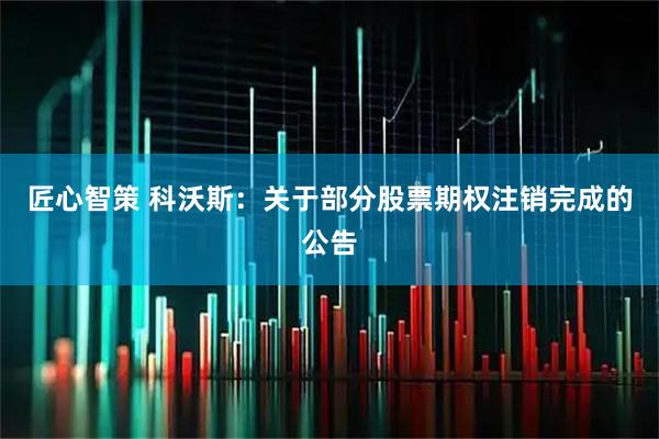 匠心智策 科沃斯:关于部分股票期权注销完成的公告