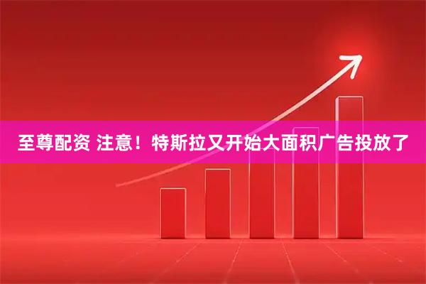 至尊配资 注意!特斯拉又开始大面积广告投放了